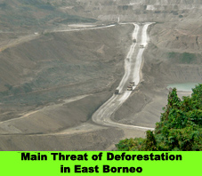 Main Threat of Deforestation in East Borneo